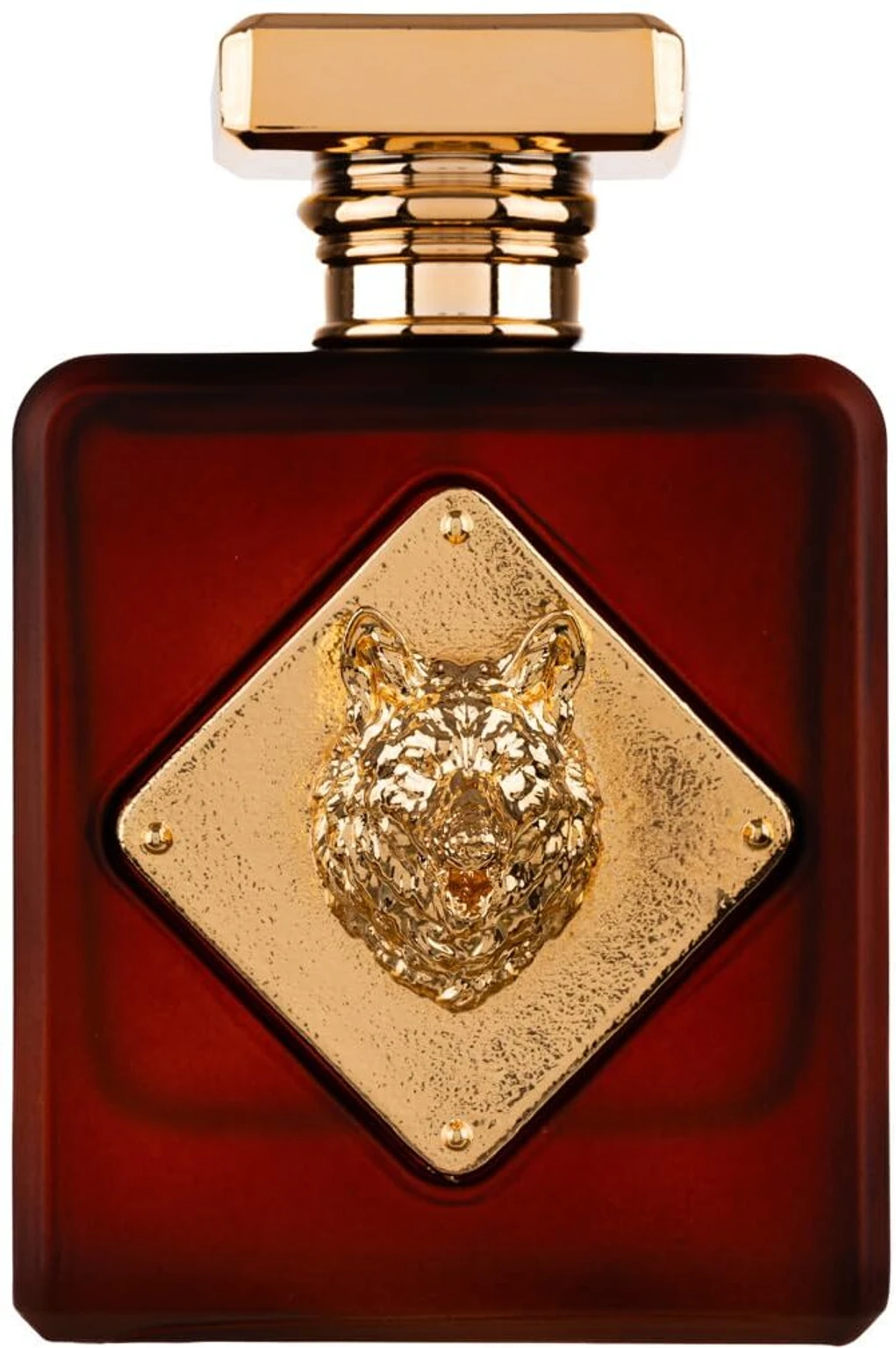 Fragrance World ALPHA EAU DE PARFUM 100 ML for Men — Image 3