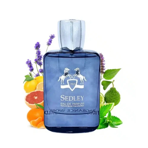 Fragrance World SEDLEY EAU DE PARFUM 100ML for Men — Image 1