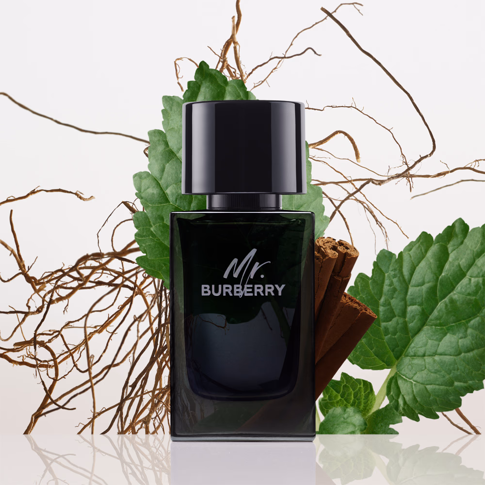 Mr. Burberry Eau de Parfum For Men 100ml — Image 3