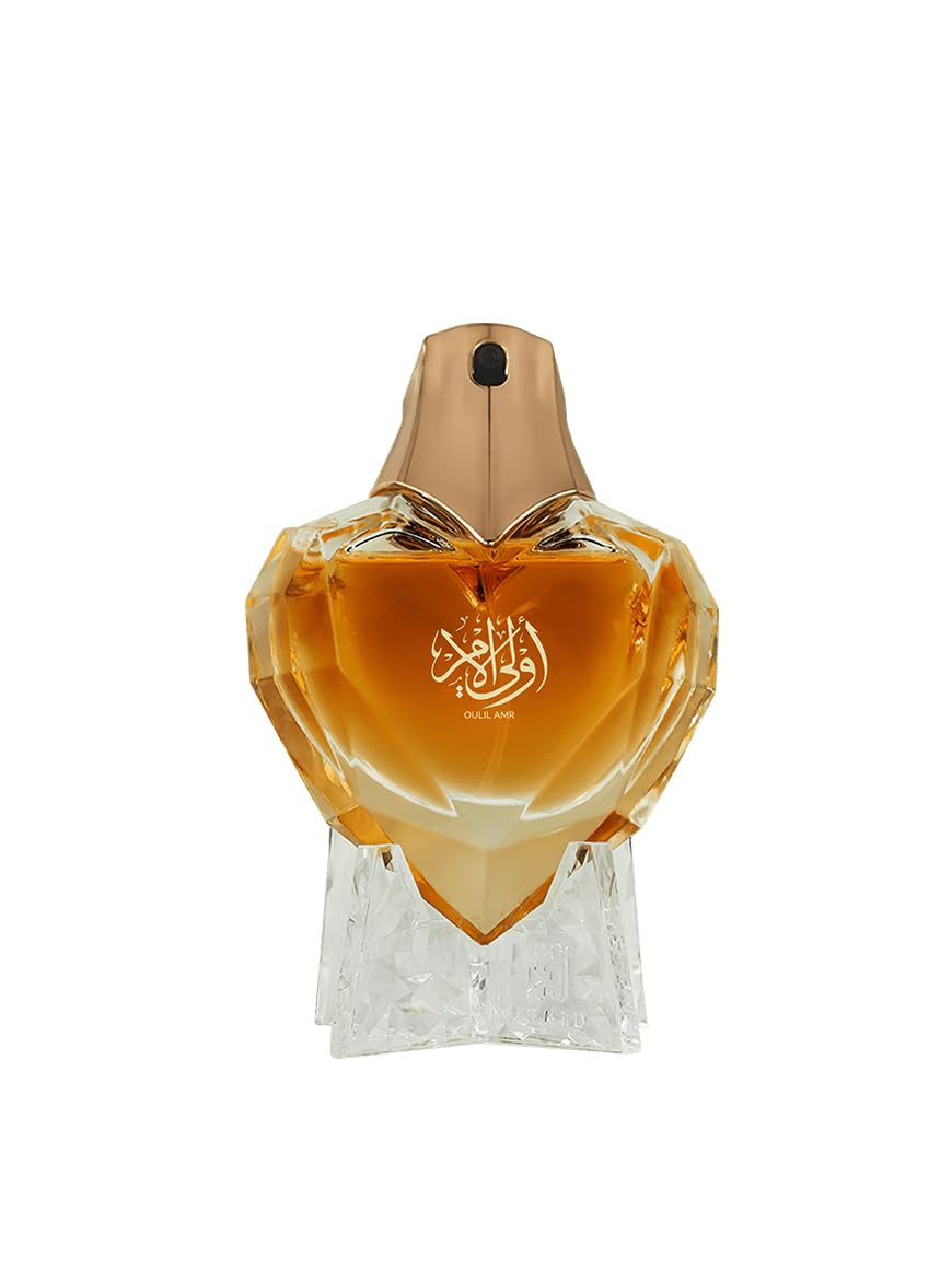 OULIL AMR — Image 4