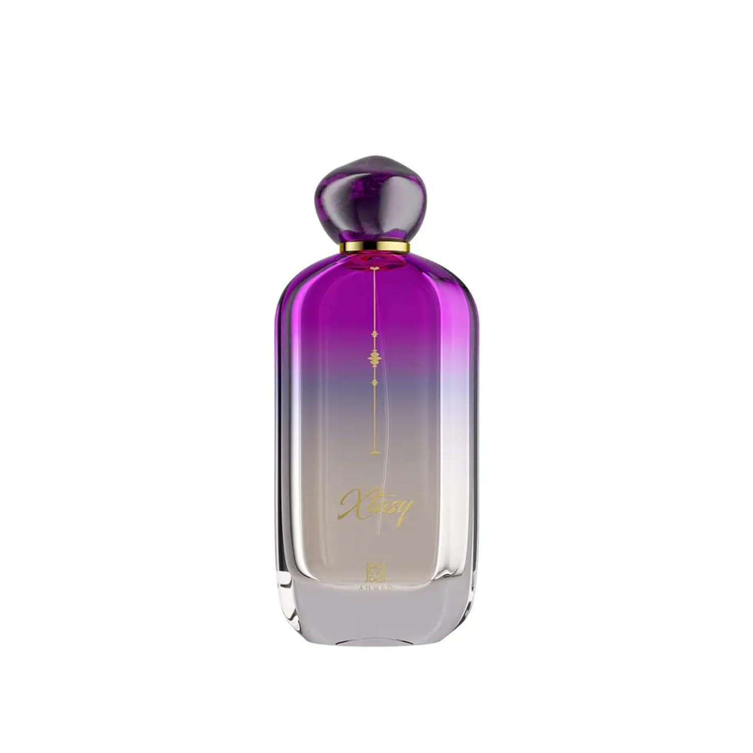 XTASY — Image 2