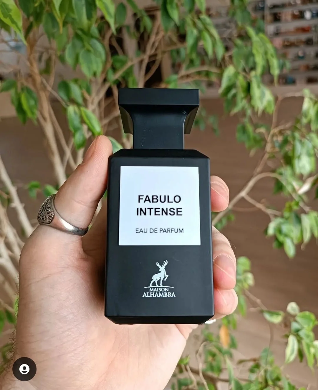 FABULO INTENSE — Image 2