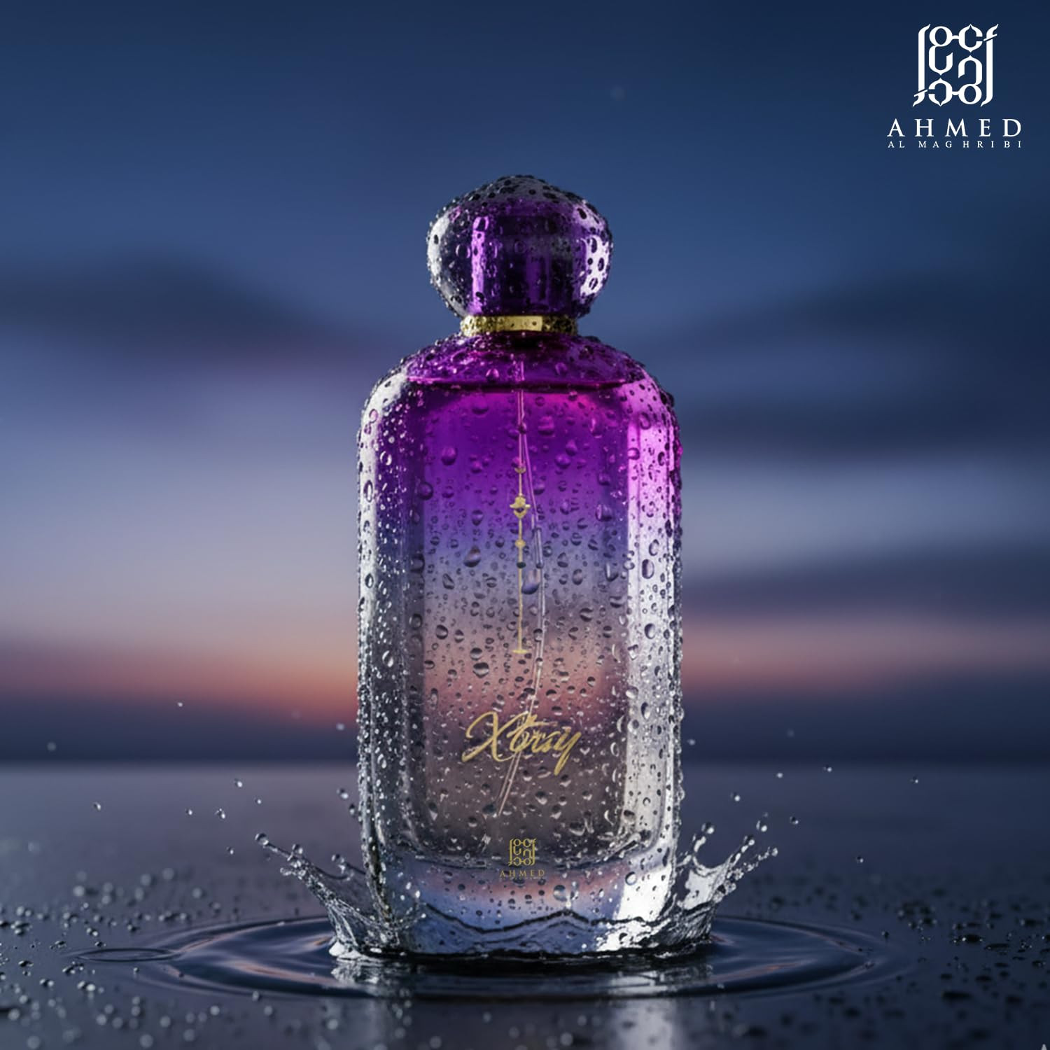 XTASY — Image 3