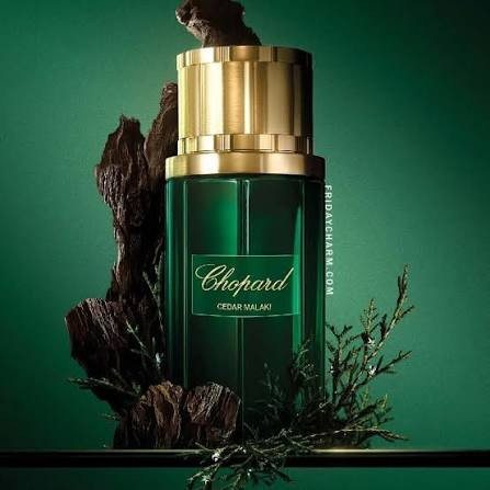 Chopard Cedar Malaki Eau De Parfum 80ml for Men & Women — Image 2