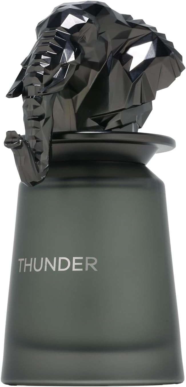 French Avenue Thunder Eau de Parfum 100ml for Men — Image 4