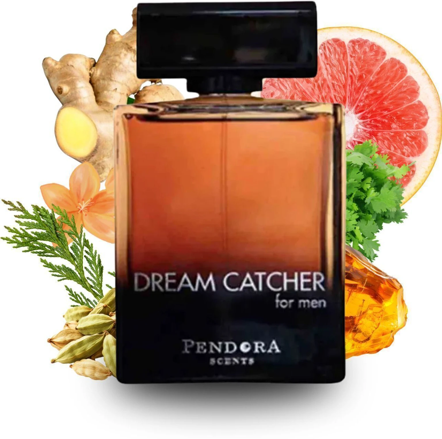Paris Corner Pendora Scents Dream Catcher Eau De Parfum 100ml For Men — Image 3