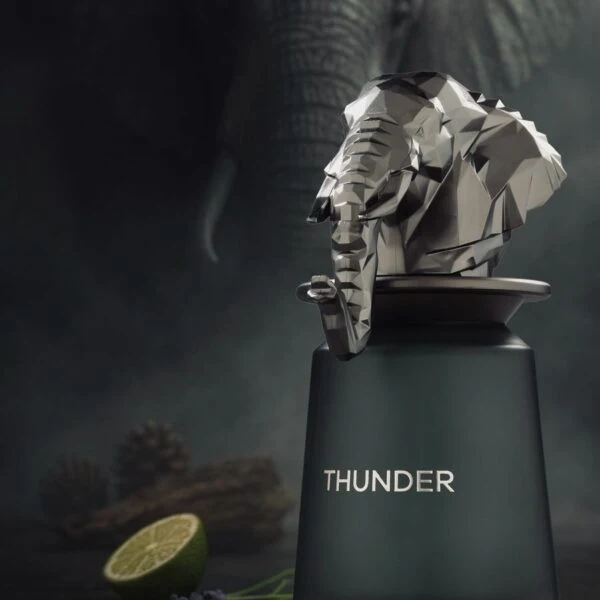 French Avenue Thunder Eau de Parfum 100ml for Men