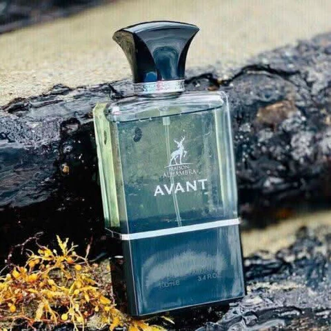 AVANT — Image 3